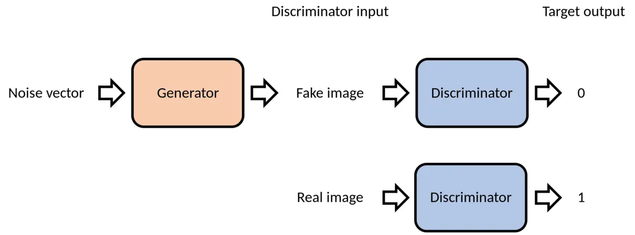 Summary of the GAN training process: The generator and discriminator are trained in an adversarial manner. The generator tries to produce samples that are indistinguishable from real data, while the discriminator tries to distinguish between real and fake data. (source, license)