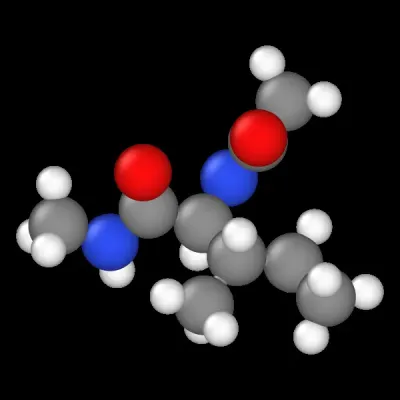 Isoleucine dipeptide molecular dynamics simulation animation