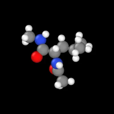 Leucine dipeptide molecular dynamics simulation animation