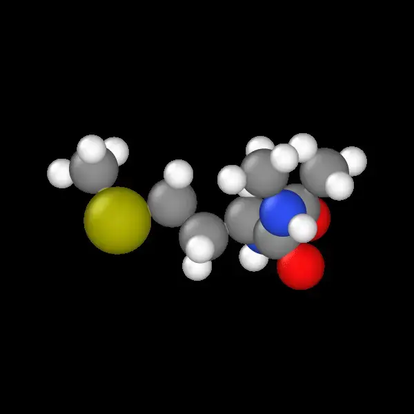Molecular visualization of a methionine dipeptide structure from MD simulation
