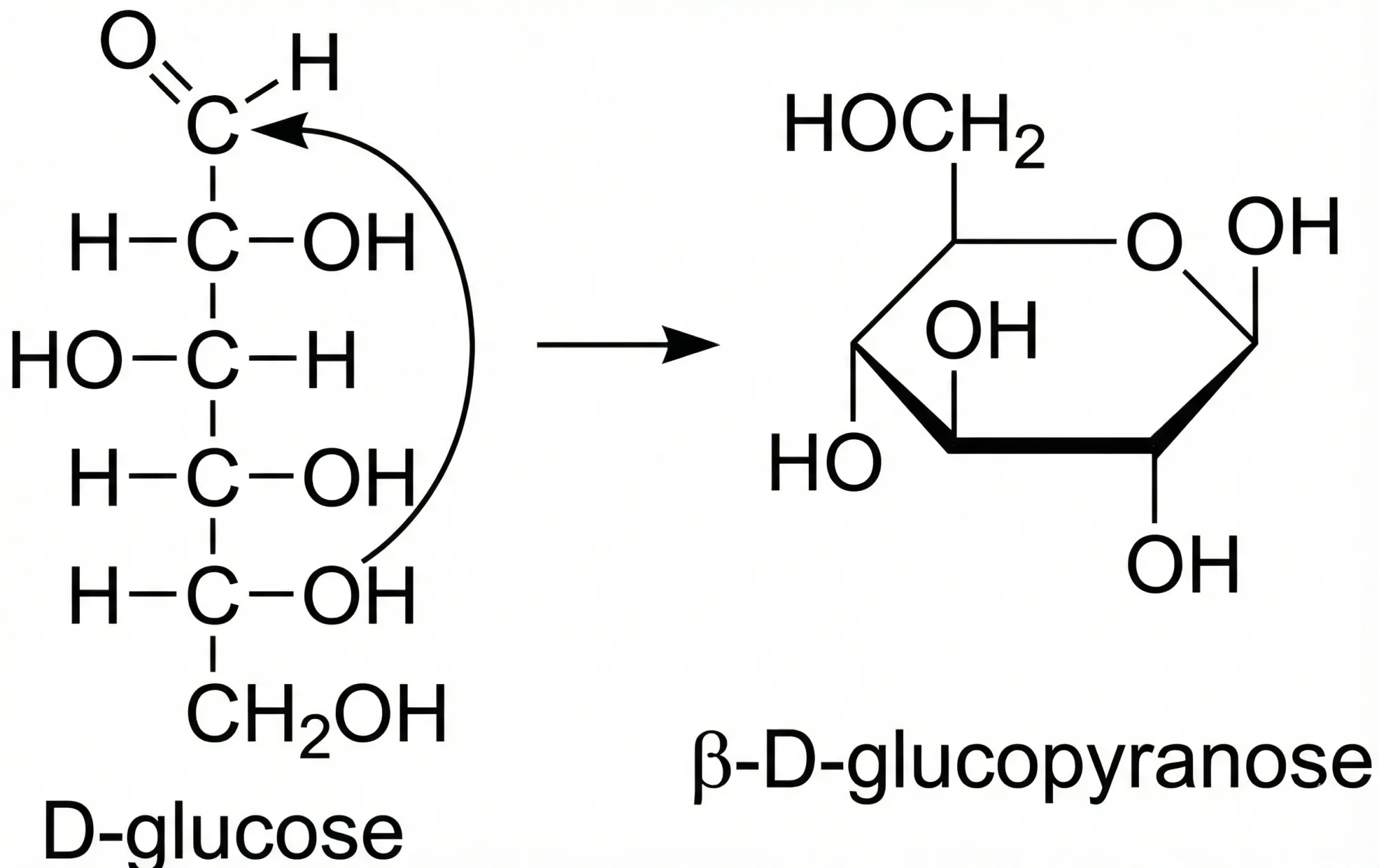 D-glucose open-chain aldehyde form converting to beta-D-glucopyranose ring form, illustrating ring-chain tautomerism
