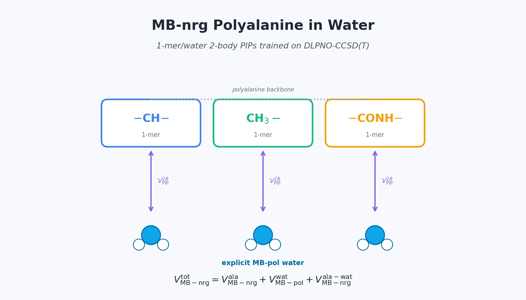 Schematic of polyalanine 1-mer functional groups interacting with water through CCSD(T)-fit 2-body PIPs.