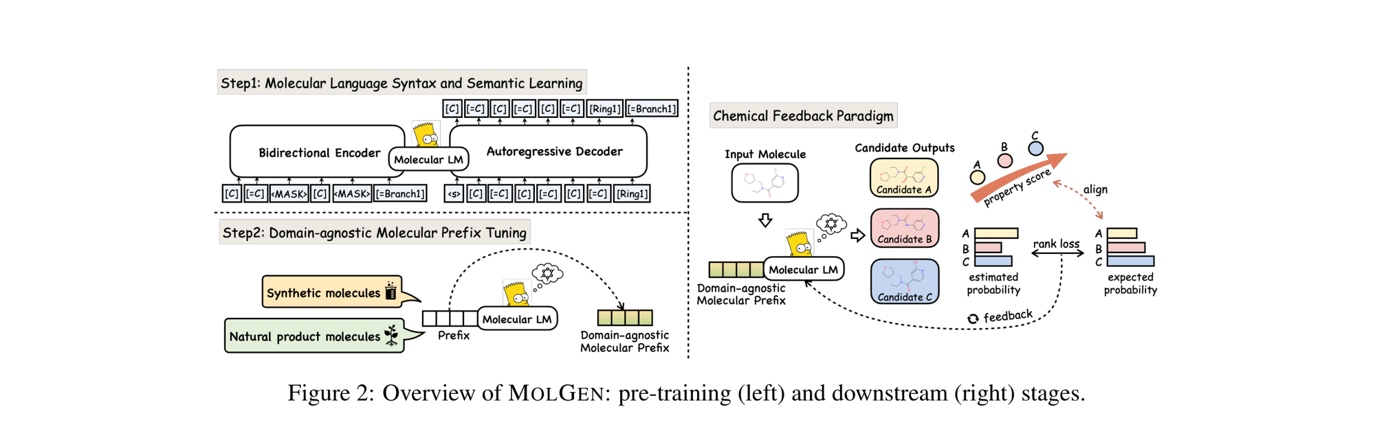 MolGen overview showing two-stage pre-training (molecular language syntax learning and domain-agnostic prefix tuning) and chemical feedback paradigm