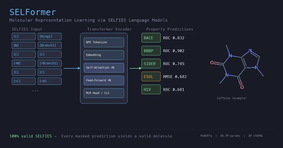 SELFormer architecture diagram showing SELFIES token input flowing through a RoBERTa transformer encoder to molecular property predictions