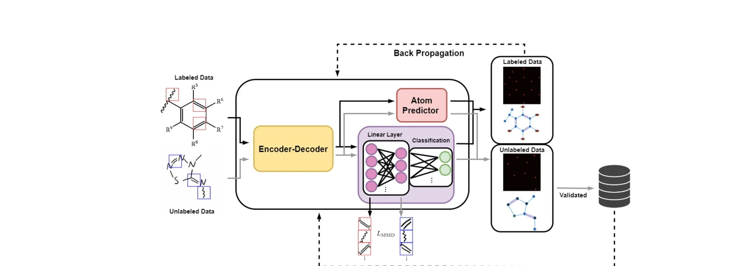 AdaptMol domain adaptation pipeline showing encoder-decoder with MMD alignment between labeled source and unlabeled target domain images