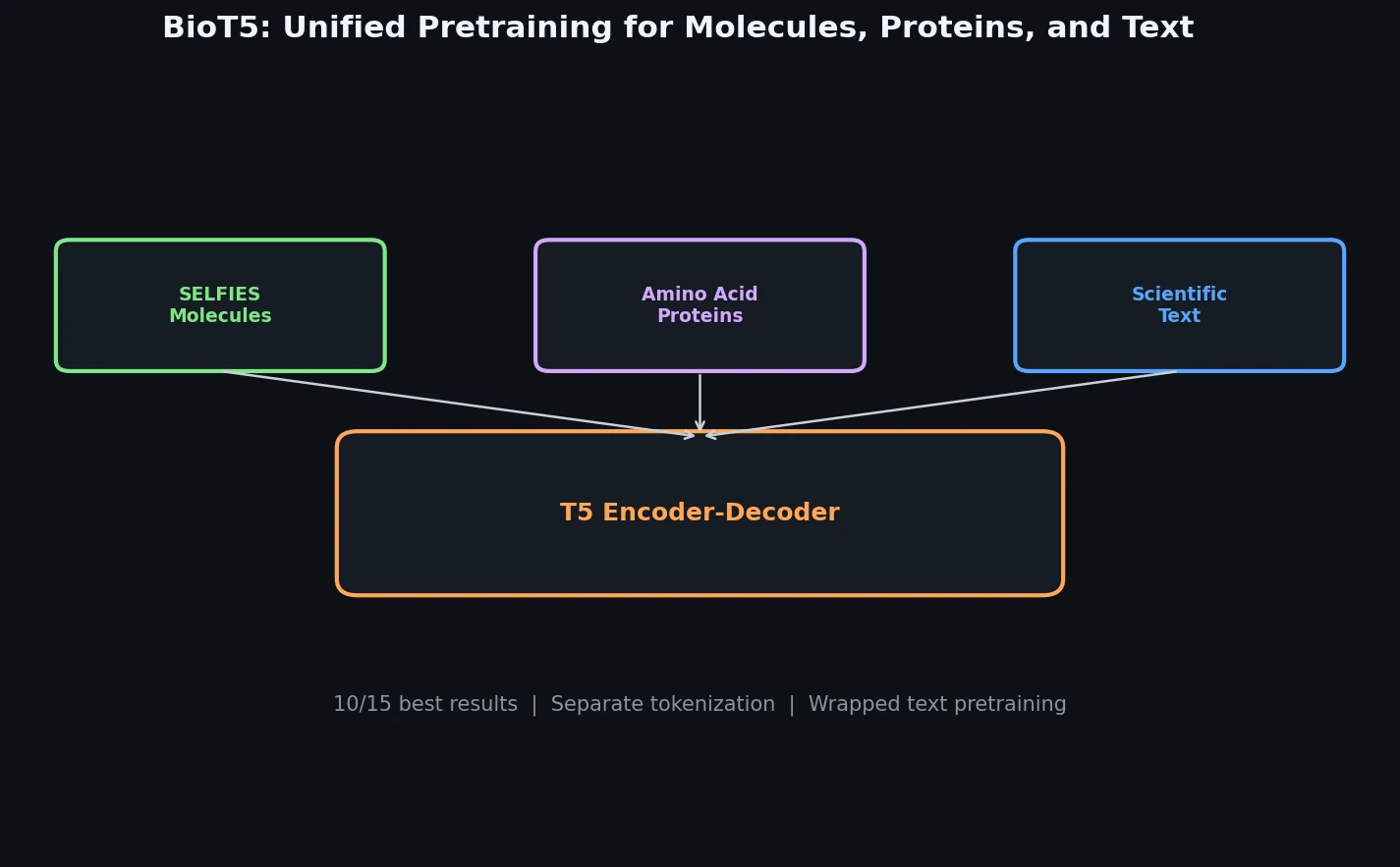 BioT5 architecture showing SELFIES molecules, amino acid proteins, and scientific text feeding into a T5 encoder-decoder