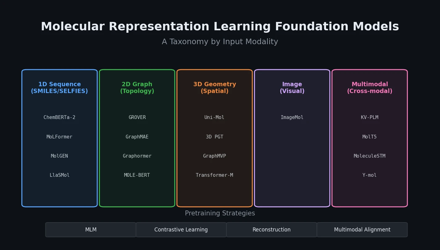 Taxonomy of molecular representation learning foundation models organized by input modality