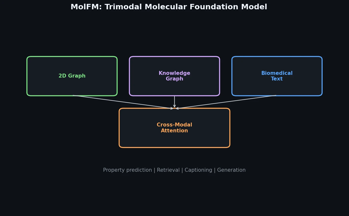 MolFM trimodal architecture fusing 2D graph, knowledge graph, and biomedical text via cross-modal attention