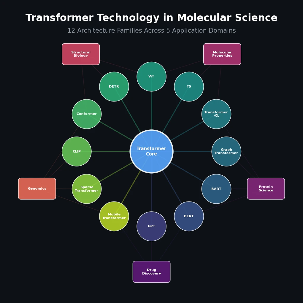 Radial diagram showing 12 transformer architecture families connected to 5 molecular science application domains