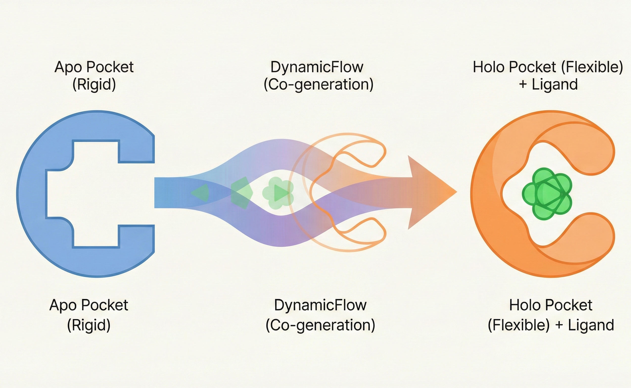DynamicFlow illustration showing the transformation from apo pocket to holo pocket with ligand molecule generation