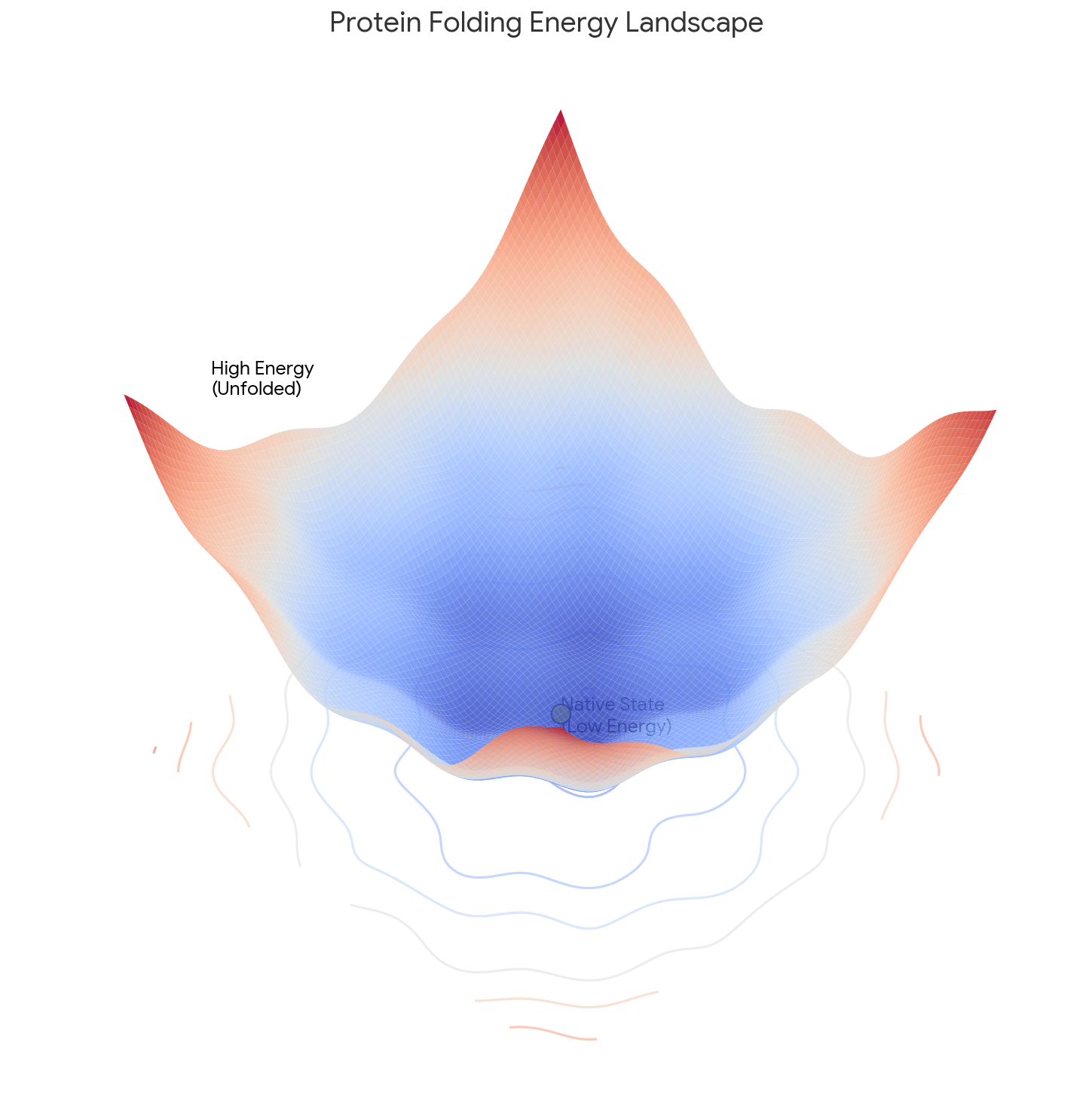 Protein folding energy landscape funnel showing high-energy unfolded states converging to the native state