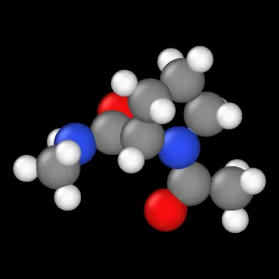 Proline dipeptide molecular dynamics simulation animation