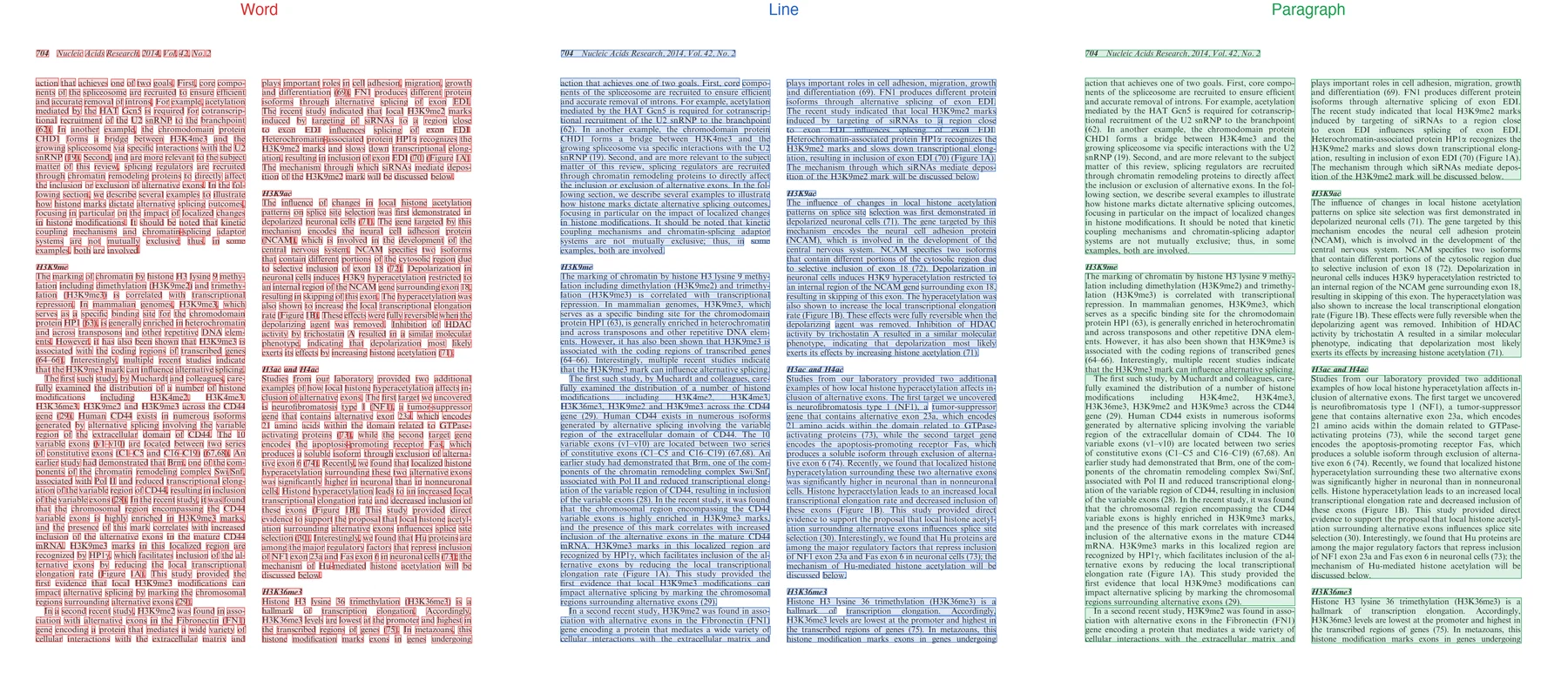 Tri-panel figure showing the same scientific article page annotated at word level (red), line level (blue), and paragraph level (green). Tri-panel figure showing the same scientific article page annotated at word level (red), line level (blue), and paragraph level (green).